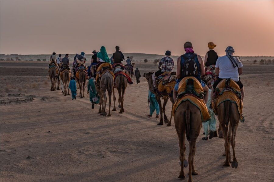 Billions of Stars Experience With Non Touristic Camel Safari - Good To Know