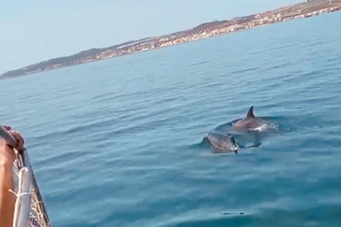 Boat Trip Through the Bay of Estepona Martingala - Good To Know