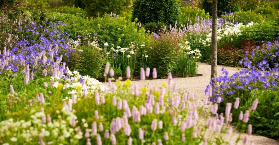 Bridgewater: Royal Horticultural Society Garden Ticket