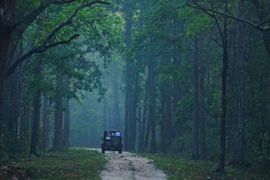 Canter Safari: Skip-the-line Entry Ranthambore Tiger Reserve - Good To Know