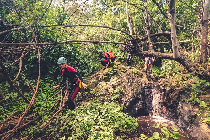 Canyoning With Waterfalls in the Rainforest - Small Groups ツ - Good To Know