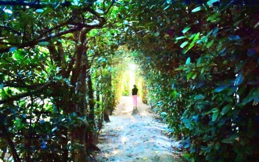 Cape Miyakozaki and Kuninao Village Walk - Good To Know