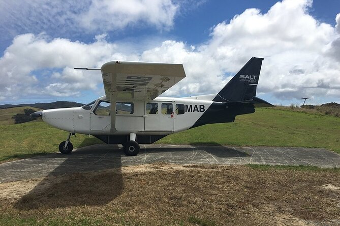 Cape Reinga Half-Day Tour Including Scenic Flight