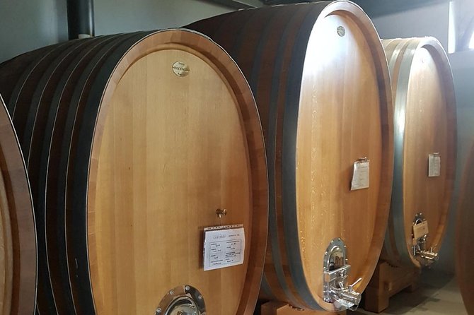 Carcassonne Wine Tours