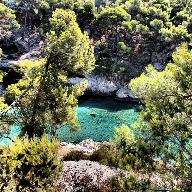 4 Best Canoe And Kayak Experiences In Cassis