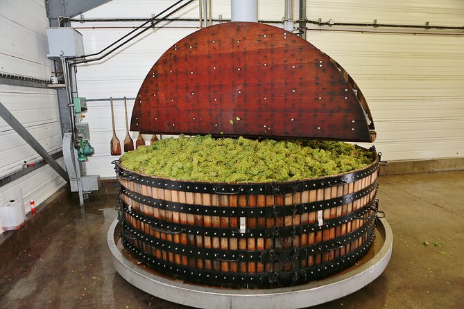 Champagne Guy De Chassey : Premium Tour and Tasting - Good To Know