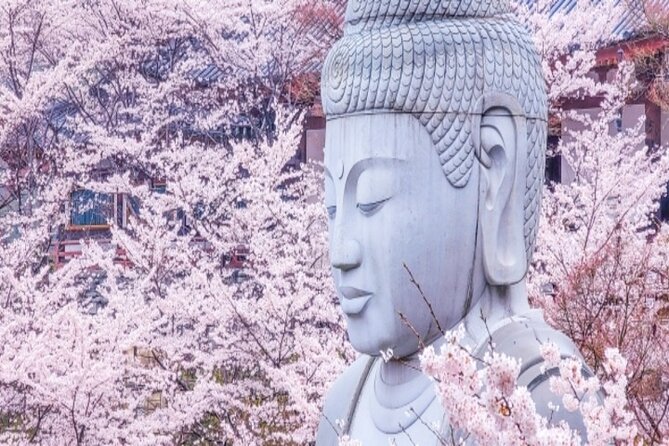 Cherry Blossom Buddha and Mt.Yoshino With Strawberry Picking Tour