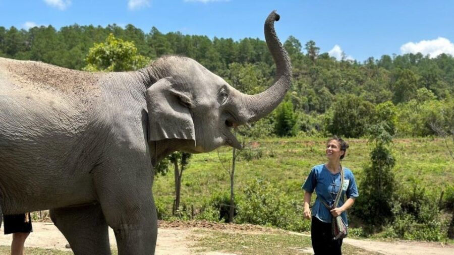Chiang Mai:Doi Inthanon,Elephant Sanctuary and Walking Trail - Good To Know