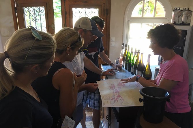 5 Best Wine Tours In Chinon