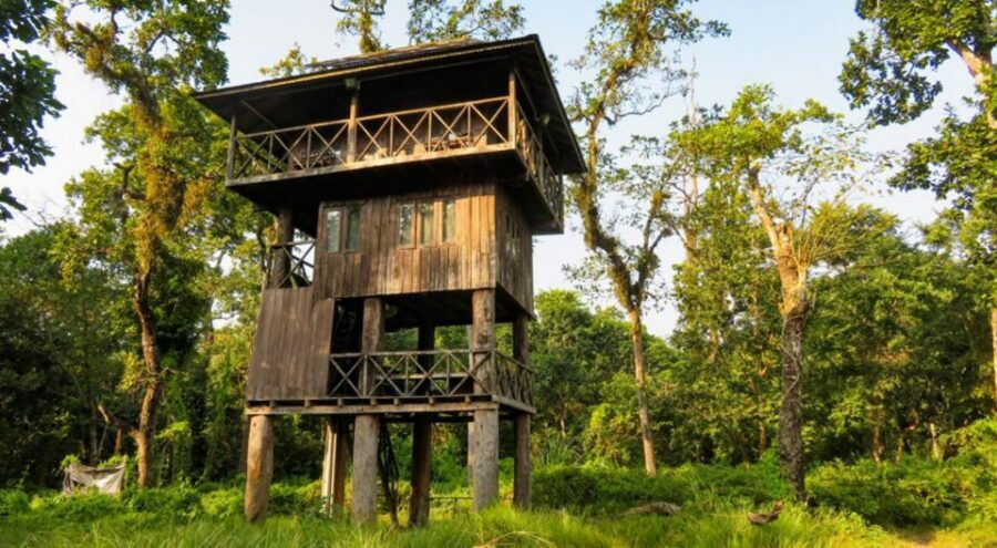 Chitwan Jungle Safari With National Park Tower Night Stay - Good To Know
