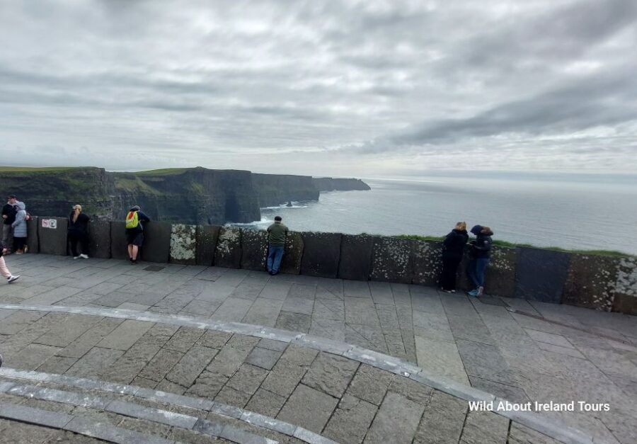 Cliffs of Moher and National Park Private Limousine Tour - Good To Know