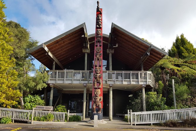Coast and Rainforest Eco-Tour From Auckland With Lunch