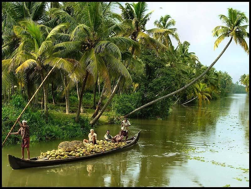 Cochin: Alleppey Backwater Private Day Cruise by Houseboat - Good To Know