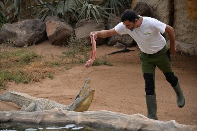 Cocodrilo Park Zoo Admission Ticket in Agüimes - Good To Know