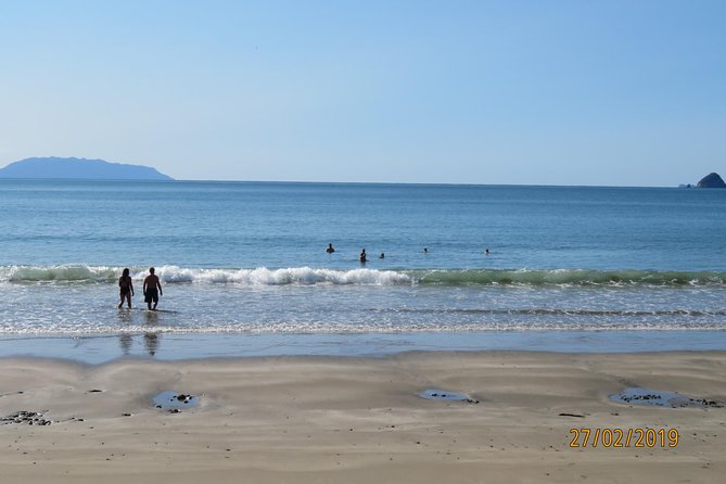 Coromandel Coastal Walkway Day Tour Ex Colville - Good To Know