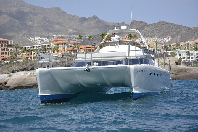 Costa Adeje Private Boat Trip With Transfer, Meal, and Drinks  - Tenerife - Good To Know