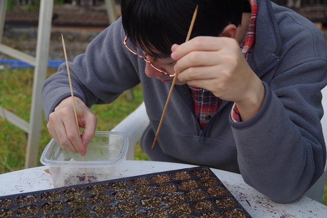 Cultivate Organic WASABI
