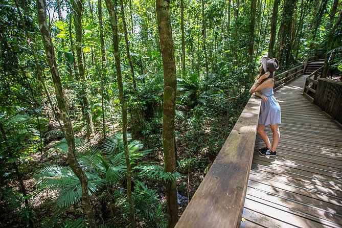 Daintree Rainforest, Cape Tribulation and Bloomfield Track Small Group Tour - Good To Know