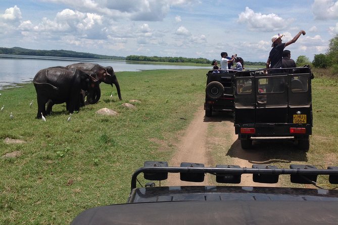 Day Excursion From Kandy to Sigiriya, Pidurangala Rock & National Park Safari