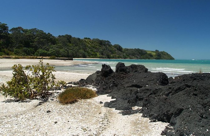 Day Sea Kayak Tour Rangitoto Island - Good To Know
