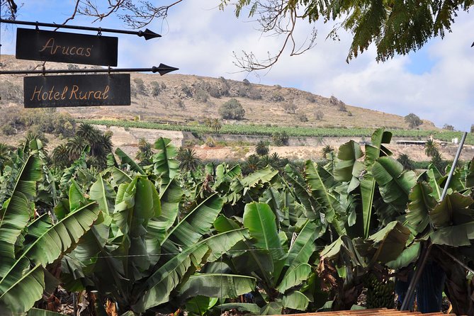 Day Tour in North of Gran Canaria With Wine Tasting - Good To Know