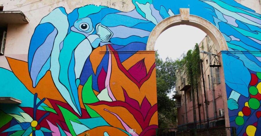 Delhi Street Art Tour - Good To Know