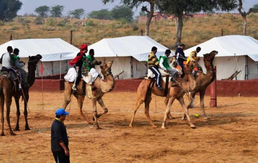 Desert Jeep Safari Tour From Jodhpur - Good To Know