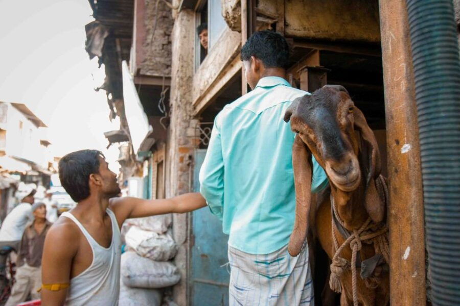 Dharavi Tour Including Car Transfer - Good To Know
