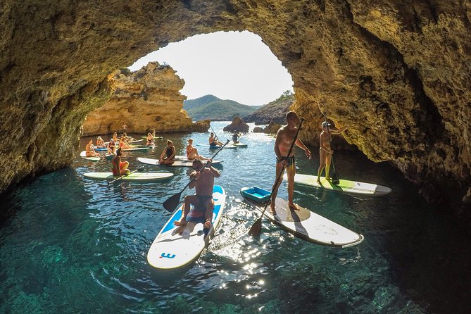 Discover the Best Corners of the Island in Paddle Surf - Good To Know