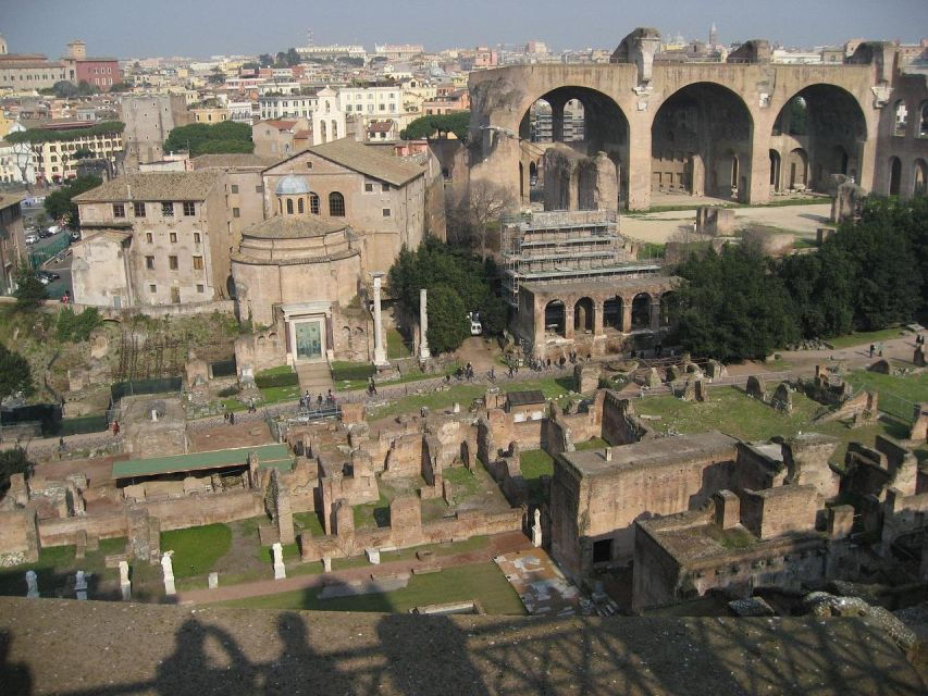 Domus Tiberiana, Palatine Hill and Roman Forum Guided Tour - Good To Know