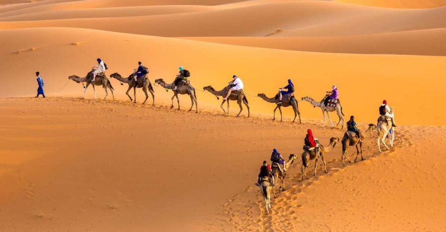 Douz 2-Day Sahara Desert Camel Trek - Good To Know