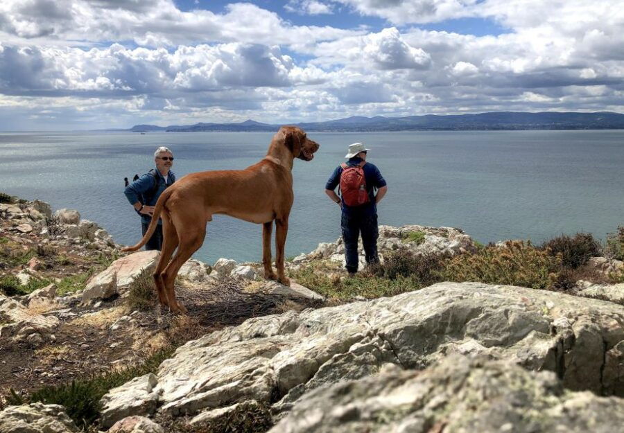 Dublin: Howth Highlights Hiking Tour - Good To Know