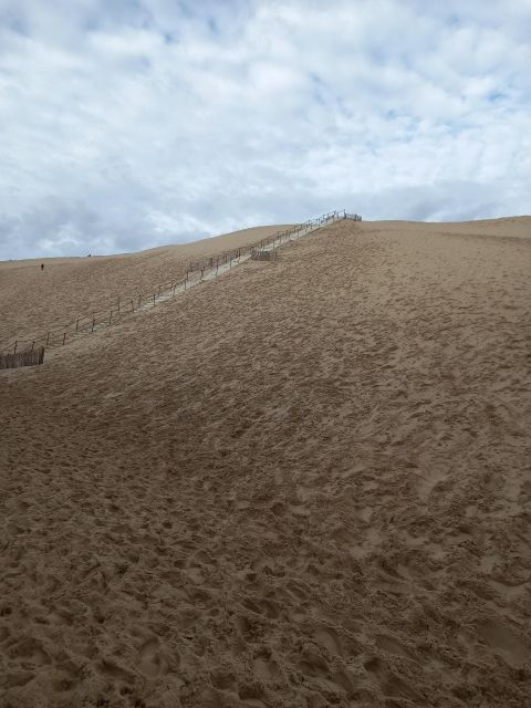 Dune Du Pilat and Oysters Tasting ! What Else ?