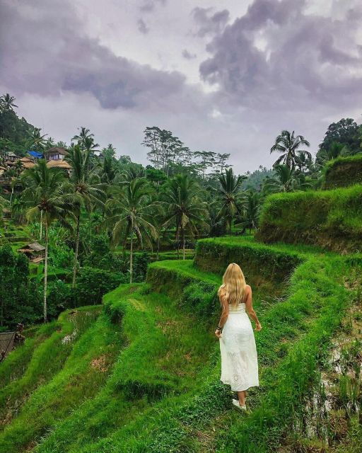 East Bali: Gate of Heaven, Tirta Gangga & Rice Terrace - Good To Know