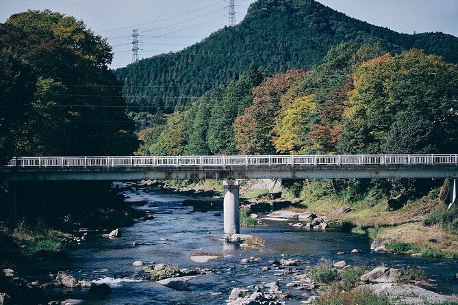 １Day Tokyo Backcountry Okutama With E-Bike - Good To Know