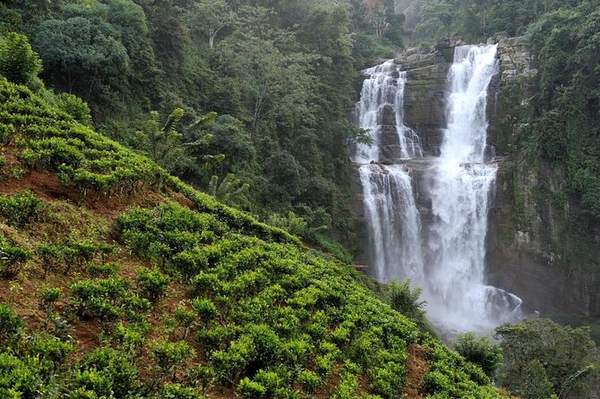 Ella Private Day Tour From Kandy