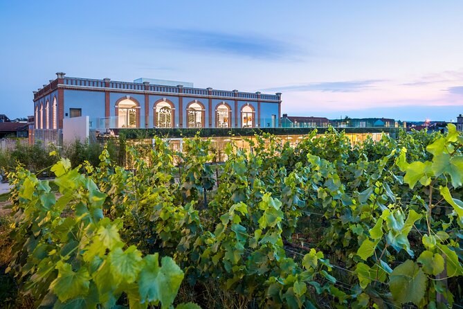 Entrance Ticket to Pressoria in the Heart of Champagne With Tasting