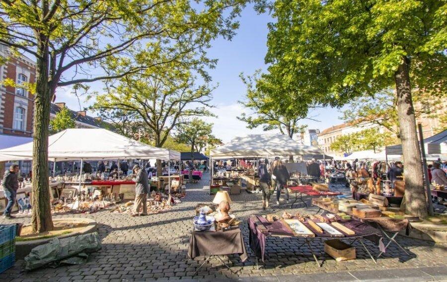 Express Walk of Brussels With a Local - Good To Know