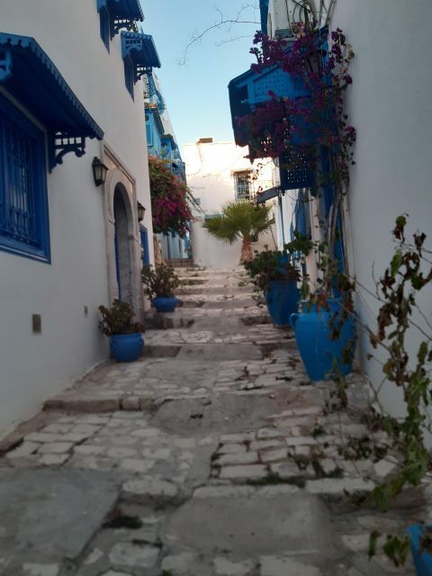 For 1 Day, Medina, Sidi Bou Said, Carthage, Bardo Museum. - Good To Know