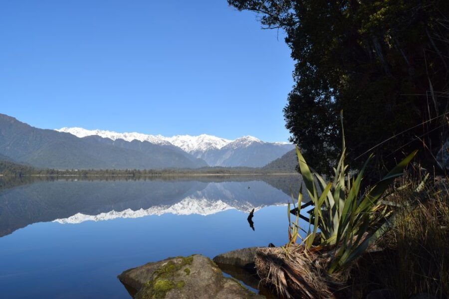Franz Josef Glacier: 2.5-Hour Lake Mapourika Cruise and Walk - Good To Know