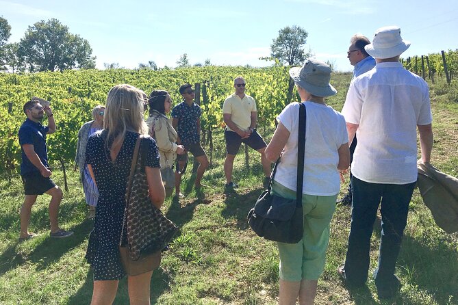 French Riviera Wine Tour From Nice With Lunch