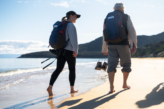 Freycinet National Park Walking Tour and Beach Picnic Lunch  - Coles Bay - Good To Know