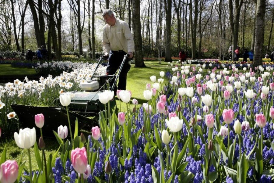 From Amsterdam RAI: Keukenhof Entry Incl. Public Bus