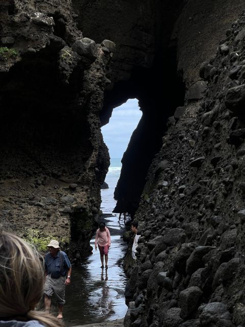 From Auckland: Guided Tour of Piha With Scenic Beach Walks - Good To Know