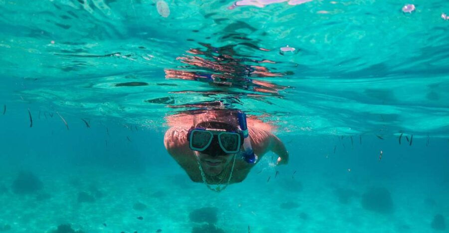 From Bohol: Pamilacan Island Full-Day Tour With Lunch
