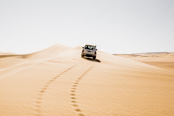 From Cairo: Desert Safari, Waterfalls, Sand Boarding and Camel Ride With Lunch
