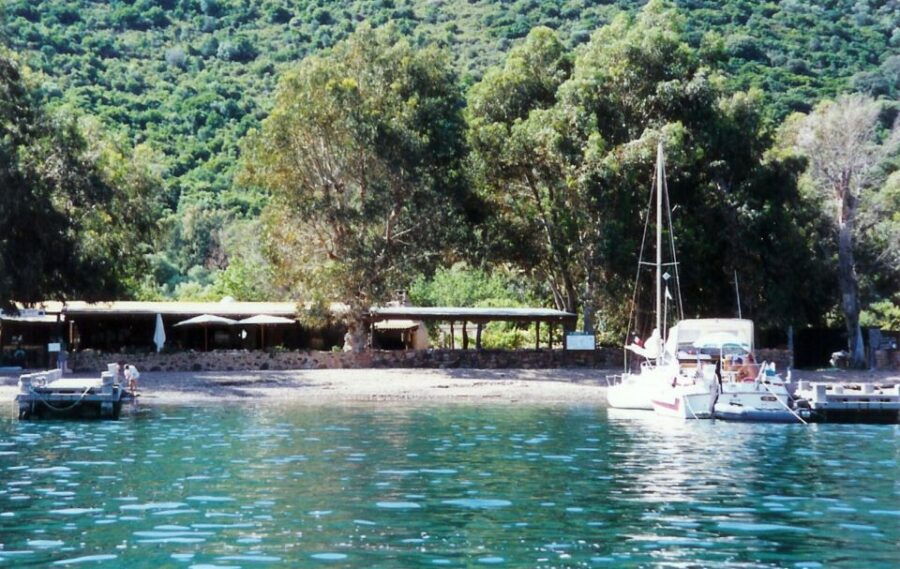 From Cargèse: Scandola Half-Day Tour by RIB Boat With Stops - Good To Know