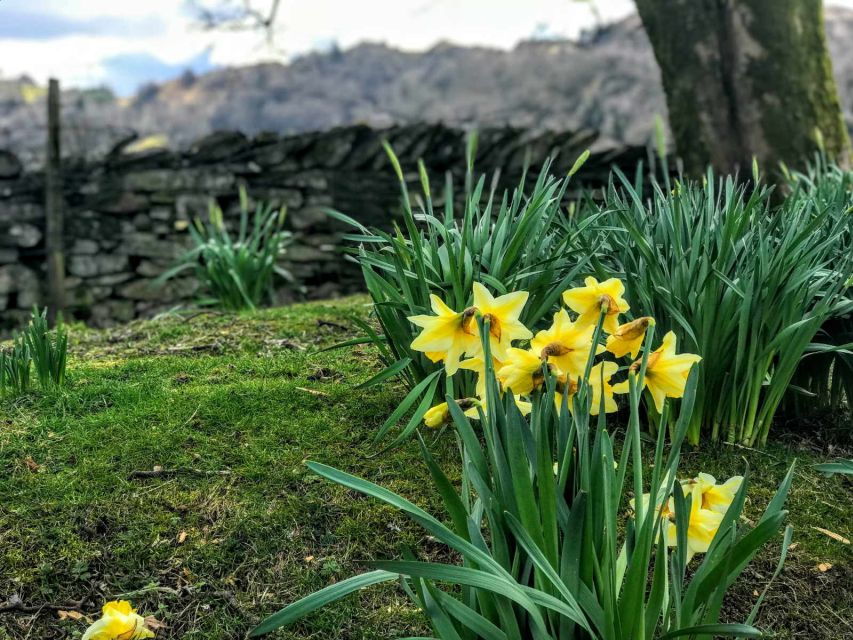 From Chester: Lake District Full-Day Guided Sightseeing Tour - Good To Know