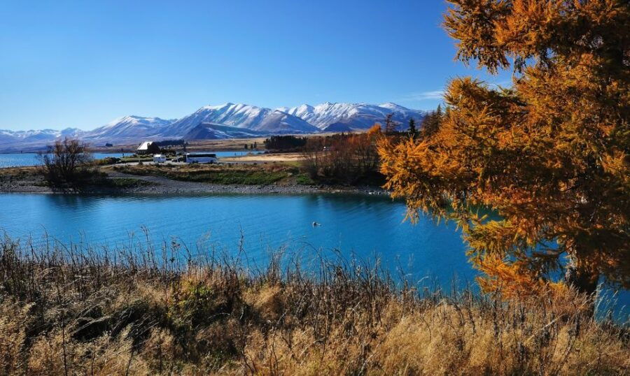 From Christchurch: Guided Day Trip to Queenstown Via Mt Cook - Good To Know