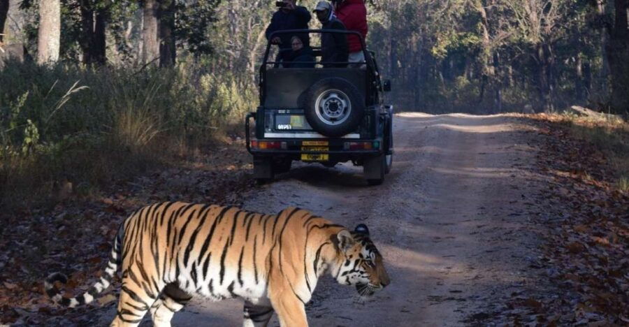From Delhi: 7-Day Golden Triangle Tour & Ranthambore Safari - Good To Know